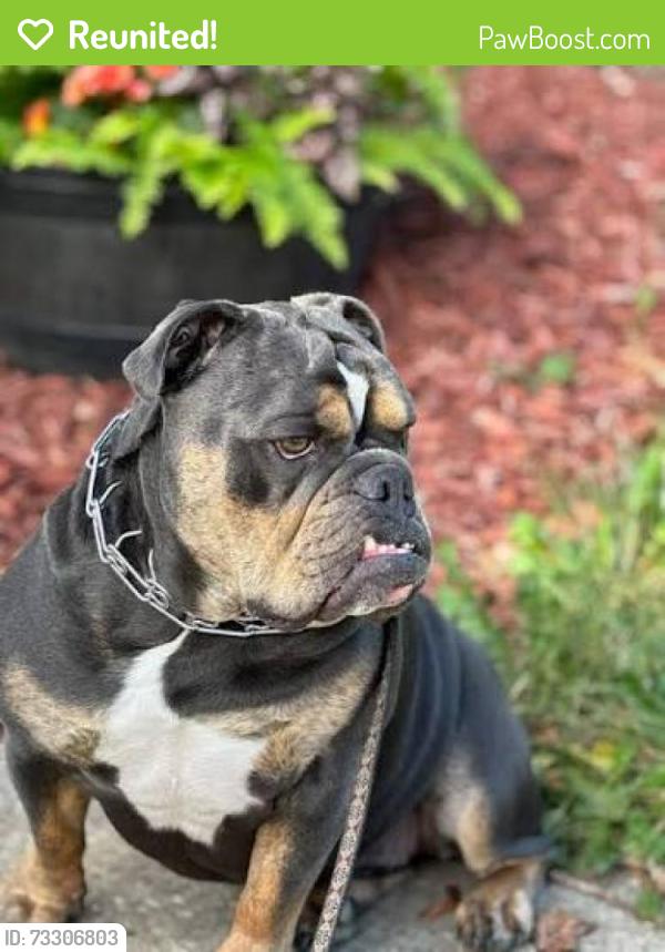 Reunited Female Dog last seen Warburton rd, Victoria, TX 77905