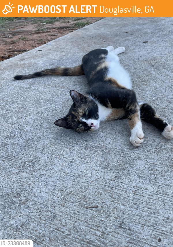Found/Stray Female Cat last seen Stewart Mill Rd and Hwy 5, Douglasville, GA 30135