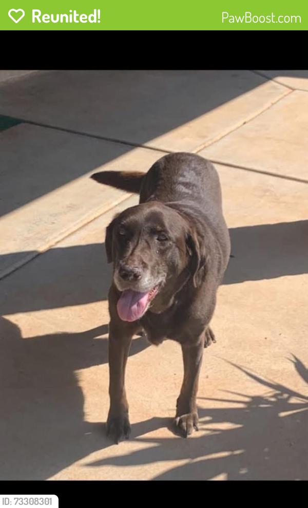 Reunited Female Dog last seen 12th and Santa fe, Moore, OK 73170