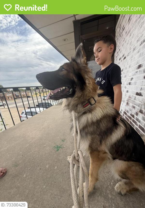 Reunited Male Dog last seen Nw 52nd and Portland, Oklahoma City, OK 73112