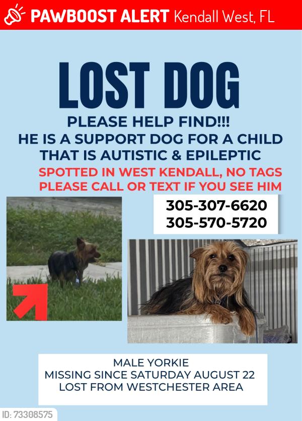Lost Male Dog last seen SW 152nd Ave & SW 80th St, Kendall West, FL 33193