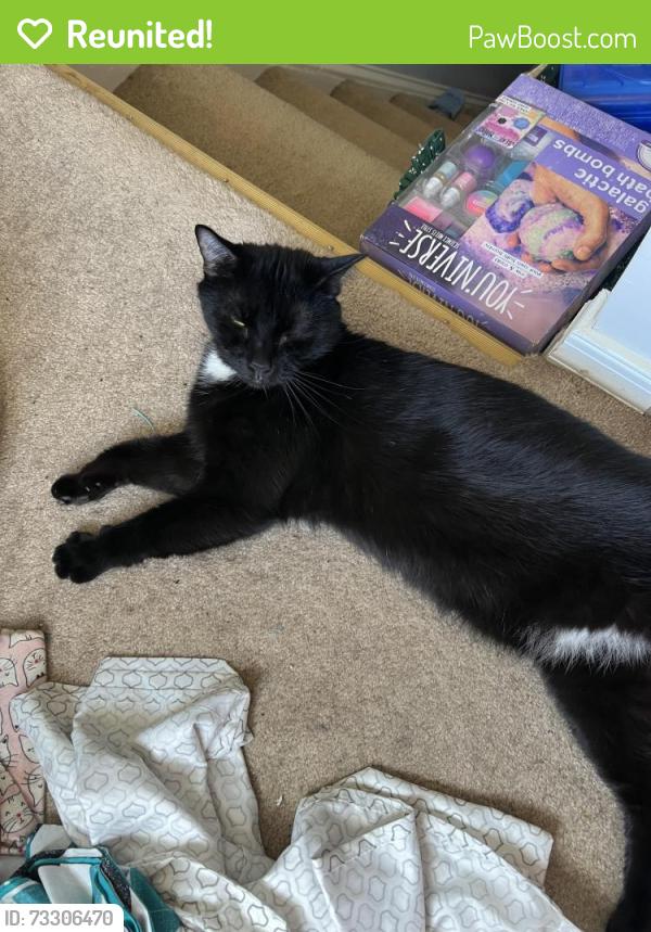 Reunited Male Cat last seen nursery rd and patapsco rd, Linthicum Heights, MD 21090