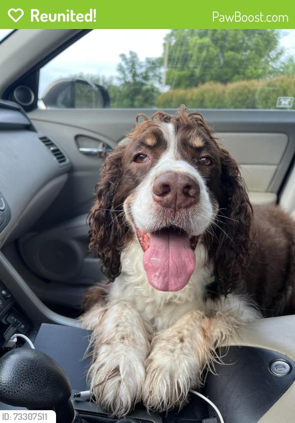 Reunited Male Dog last seen Valerian Drive, Chattanooga, TN 37415