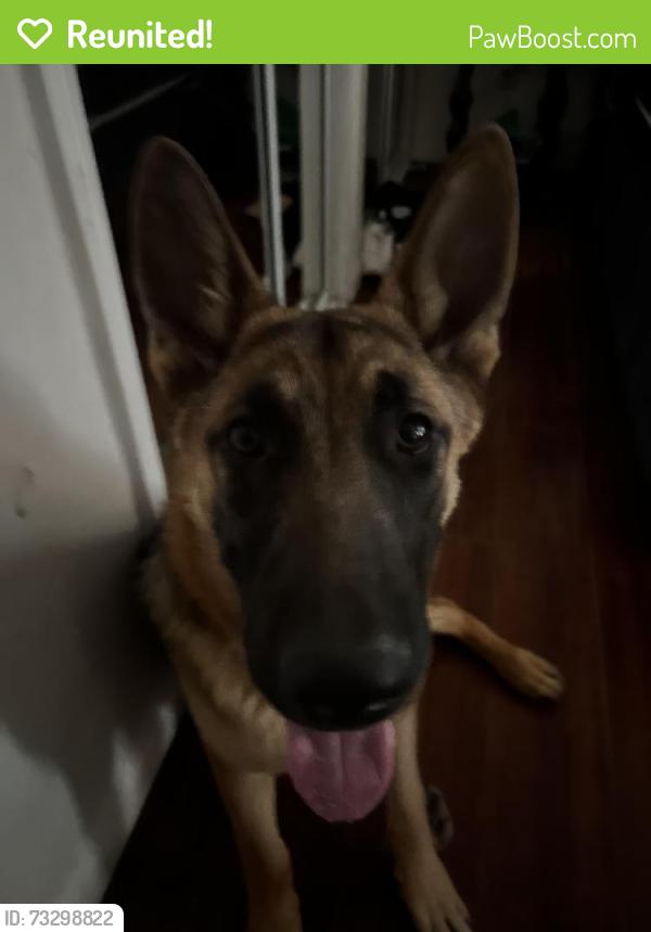 Reunited Male Dog last seen Near Rodeo Dr Victorville, CA 92395 United States, Victorville, CA 92395