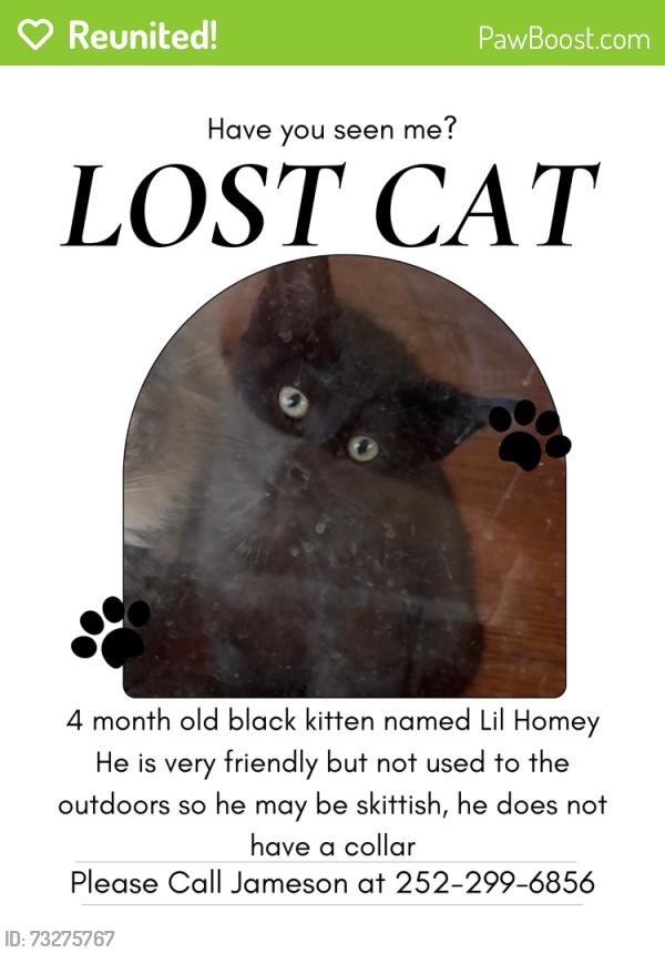 Reunited Male Cat last seen Near Countryside Rd, Wilson, NC 27896, USA, Wilson, NC 27896