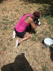 Reunited Male Dog last seen By the river on highway 177, Shawnee, OK 74804