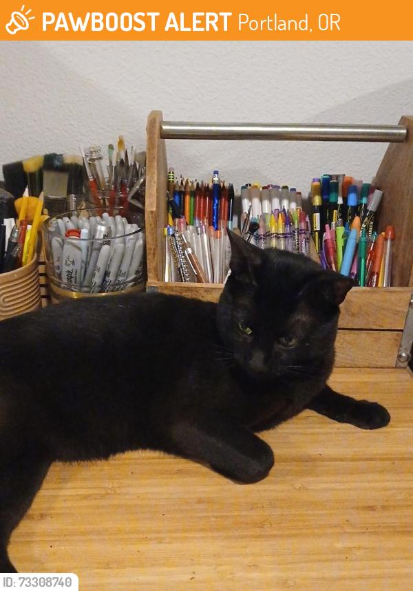 Found/Stray Male Cat last seen Grout Elementary School, Portland, OR 97202