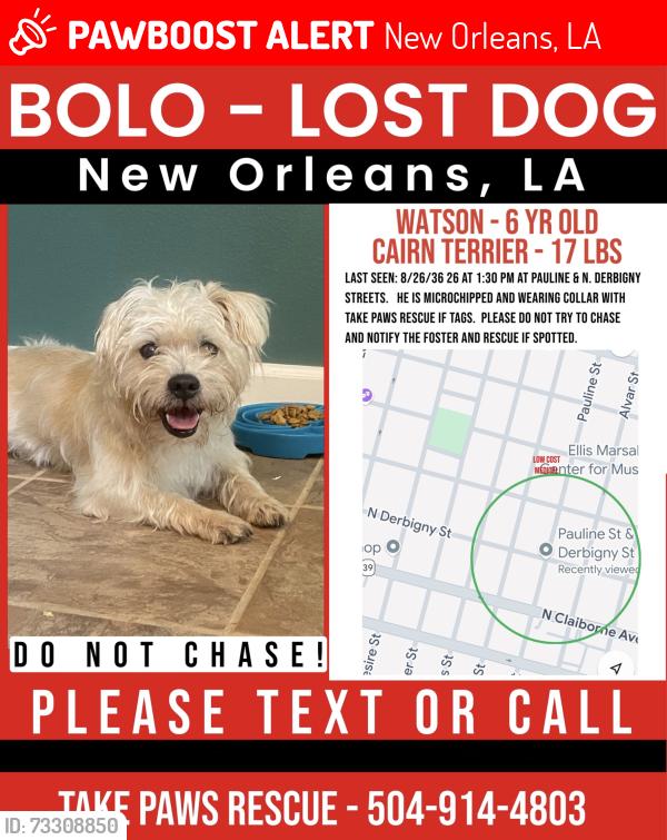 Lost Male Dog last seen Pauline St and Derbigny st, New Orleans, LA 70117