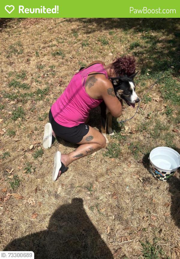 Reunited Male Dog last seen By the river on highway 177, Shawnee, OK 74804