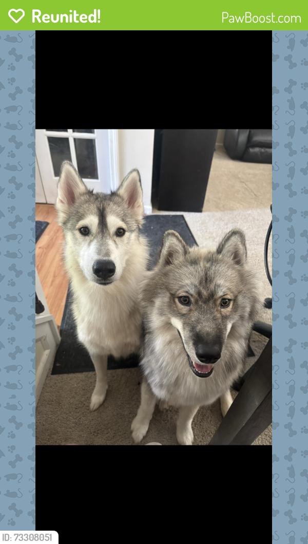 Reunited Unknown Dog last seen Running around in fields, Fishers, IN 46037