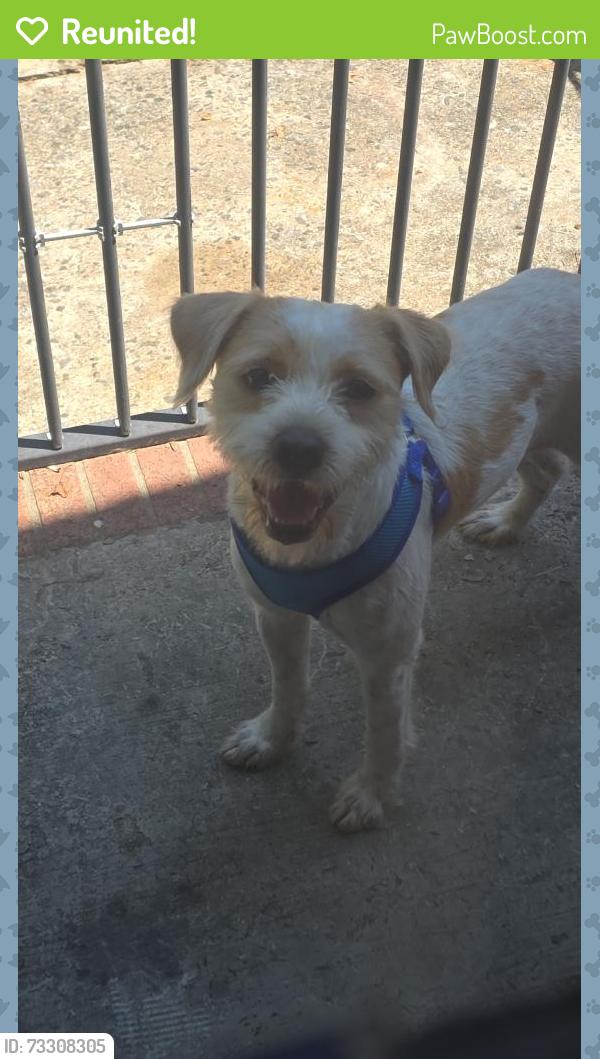 Reunited Male Dog last seen Near Ranchwood Dr, Charlotte, NC 28217, USA, Charlotte, NC 28217