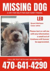 Reunited Male Dog last seen Evans St, Homer, GA 30547