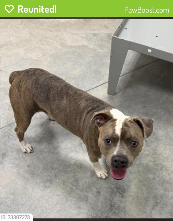 Reunited Male Dog last seen Near Katy Freeway, Houston, TX 77024