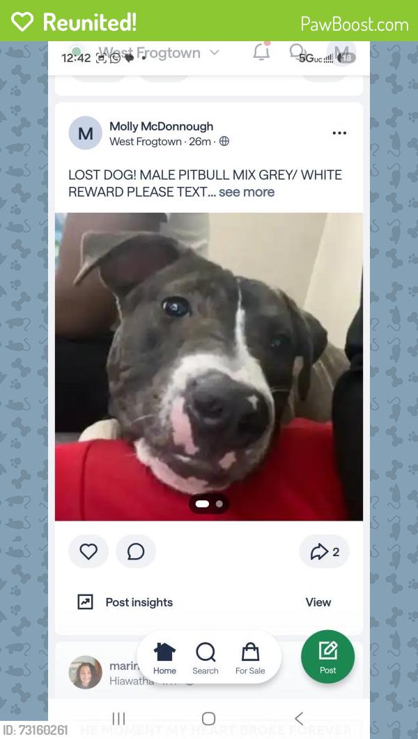 Reunited Male Dog last seen Dale/Thomas, Saint Paul, MN 55103