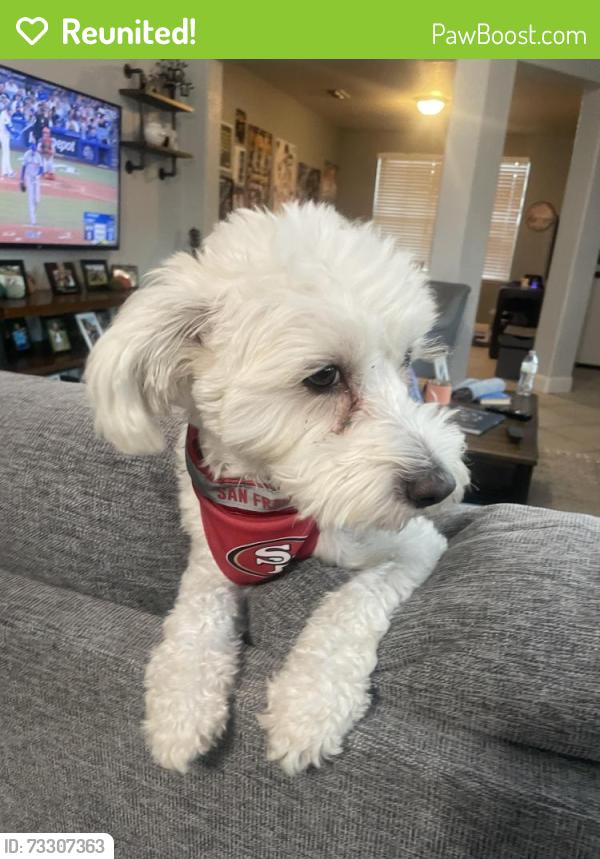Reunited Male Dog last seen Near Claratina Coffee Park, Modesto, CA 95356