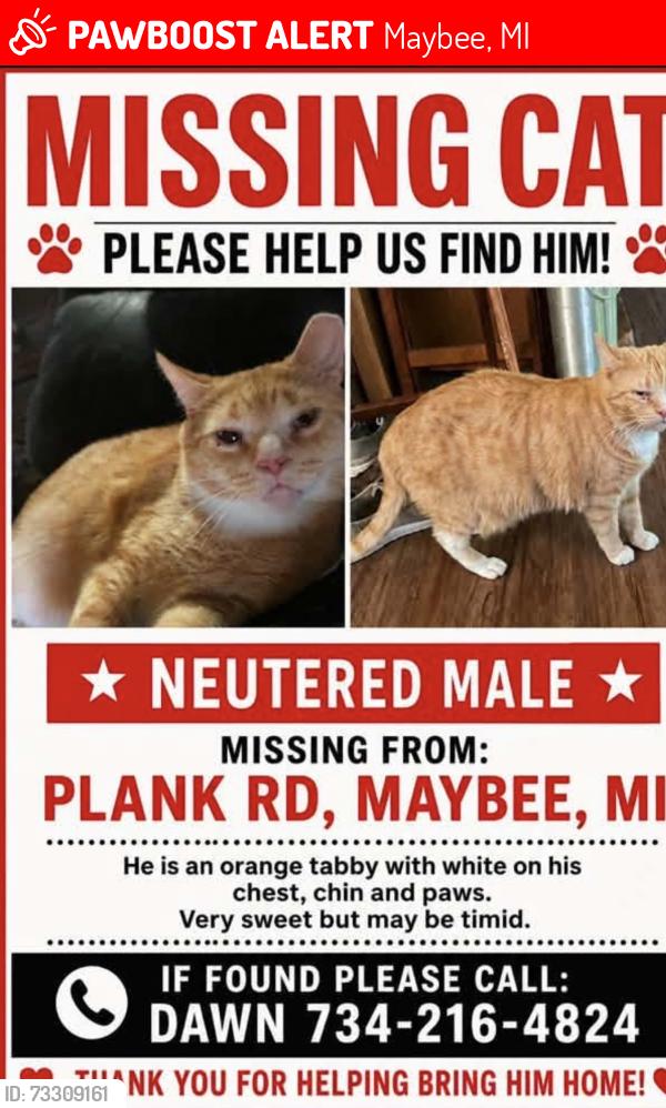 Lost Male Cat last seen Oelke Rd. 1 1/4 miles south of Darma ( Milan Dragway), Maybee, MI 48159