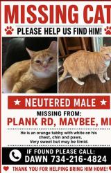Lost Male Cat last seen Oelke Rd. 1 1/4 miles south of Darma ( Milan Dragway), Maybee, MI 48159