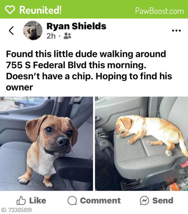 Reunited Male Dog last seen Near S Federal Blvd, Denver, CO 80219