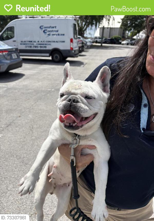 Reunited Female Dog last seen port saint lucie, Port St. Lucie, FL 34986