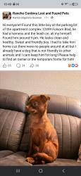 Reunited Unknown Dog last seen Folsom blvd, Rancho Cordova, CA 95742