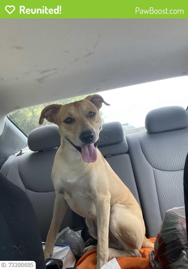Reunited Male Dog last seen 21st ter and 19th intersection, Fort Lauderdale, FL 33311