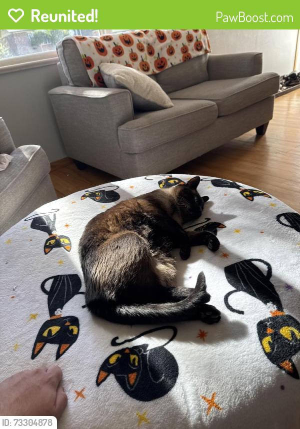 Reunited Male Cat last seen Near W 110th Pl, Broomfield, CO 80020