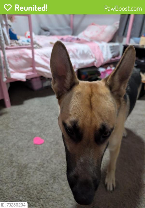 Reunited Female Dog last seen 6th Ave, Sacramento, CA 95820