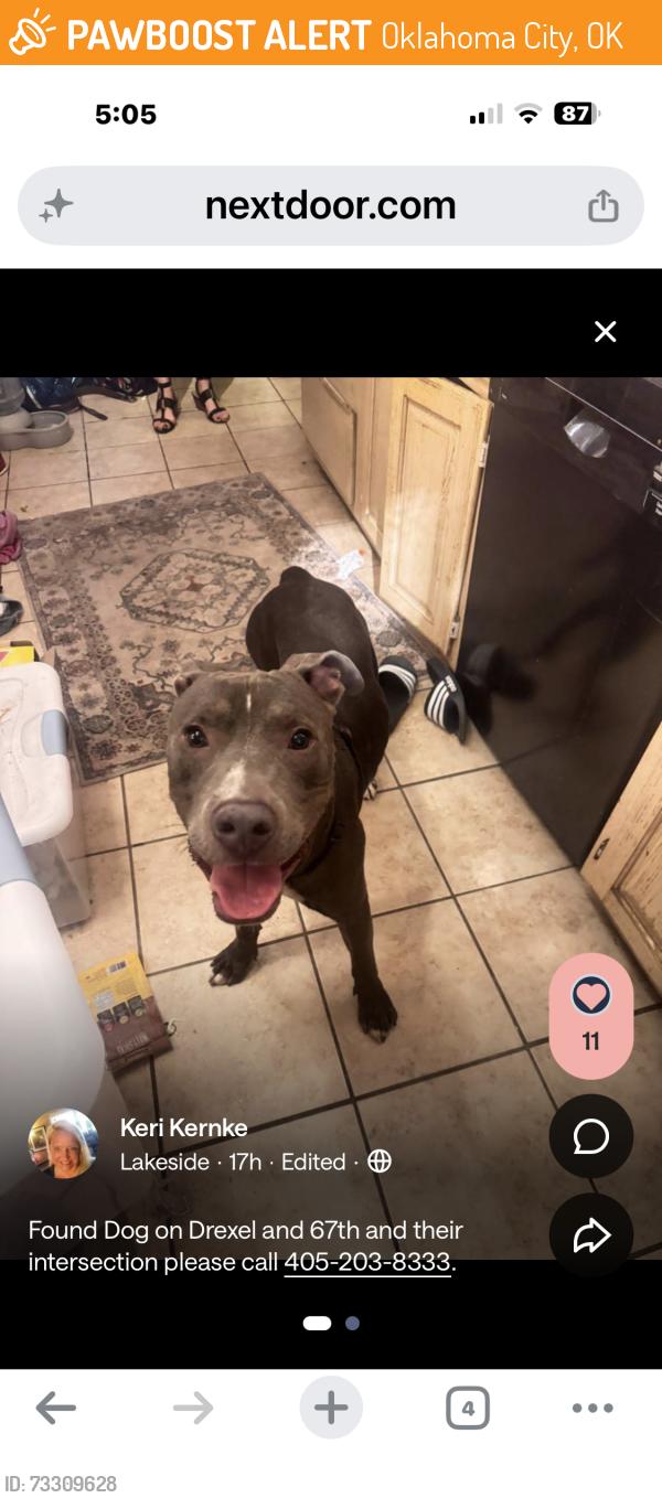 Found/Stray Male Dog last seen Nw 68th & Drexel, Oklahoma City, OK 73116