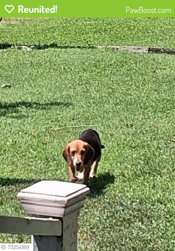 Reunited Unknown Dog last seen Buttonwood Ln Roxboro, Person County, NC 27574