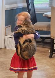 Lost Male Cat last seen E Palomar and Santa Rita, Chula Vista, CA 91913