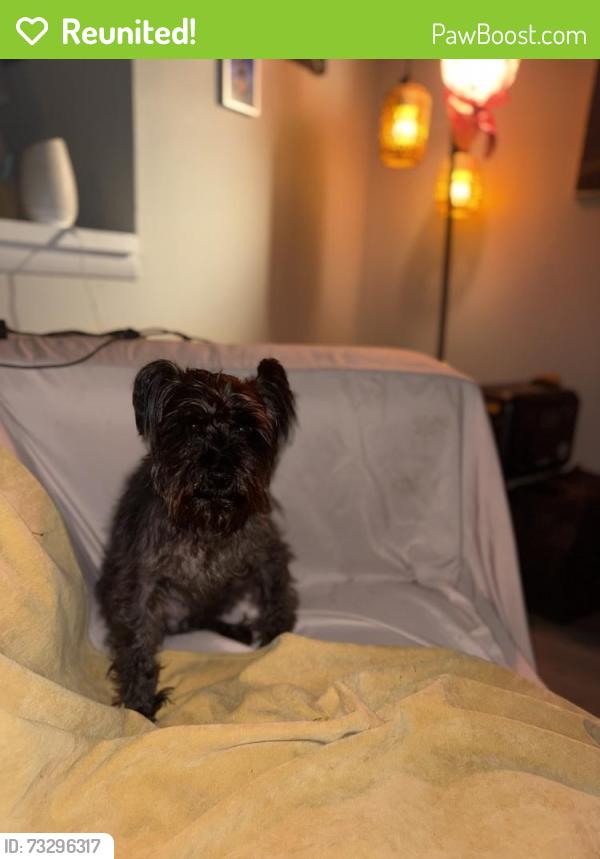 Reunited Male Dog last seen Lake Johnson, Raleigh, NC 27606