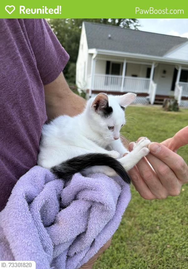 Reunited Unknown Cat last seen 20st Ne and K Ave Ne, Cedar Rapids, IA 52402