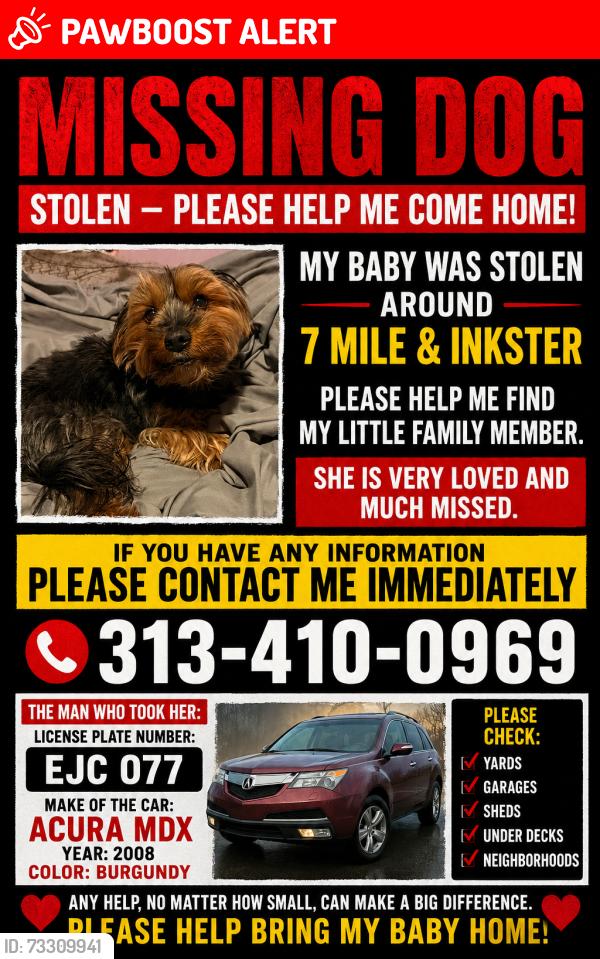 Lost Male Dog last seen 7 mile and Inkster, Redford Township, MI 48240