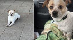 Lost Male Other last seen Last seen on Slauson and Hooper, Florence-Graham, CA 90011