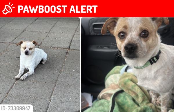 Lost Male Other last seen Last seen on Slauson and Hooper, Florence-Graham, CA 90011