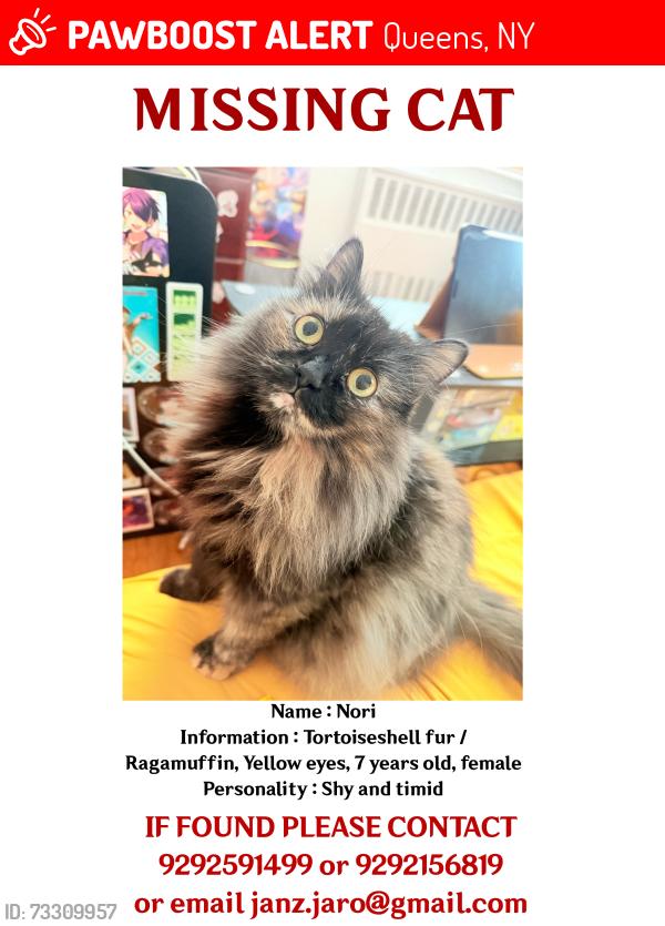 Lost Female Cat last seen Queens Community hse, Queens, NY 11375