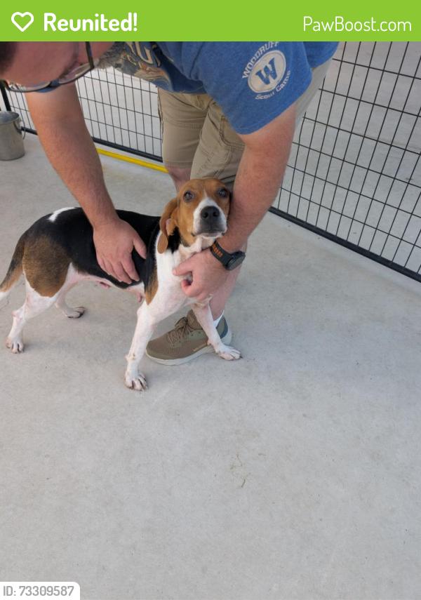 Reunited Female Dog last seen Half Moon, Ramsey and Maready, Jacksonville, NC 28546