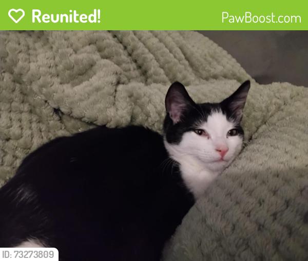Reunited Male Cat last seen Factory behind the hse he went missing from and a river close by, Lancashire, England 