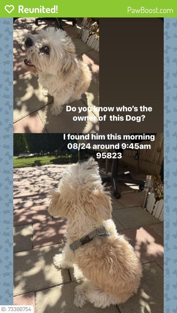 Reunited Male Dog last seen Ashwick loop Sacramento 95823, Sacramento, CA 95823