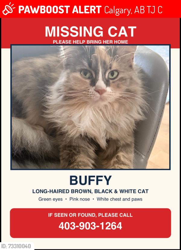 Lost Female Cat last seen Near Taralea park ne calgary, Calgary, AB T3J 5C4