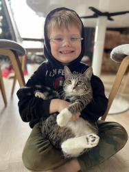 Lost Female Cat last seen 92nd Ave SE & SE 44th St, Mercer Island, WA 98040