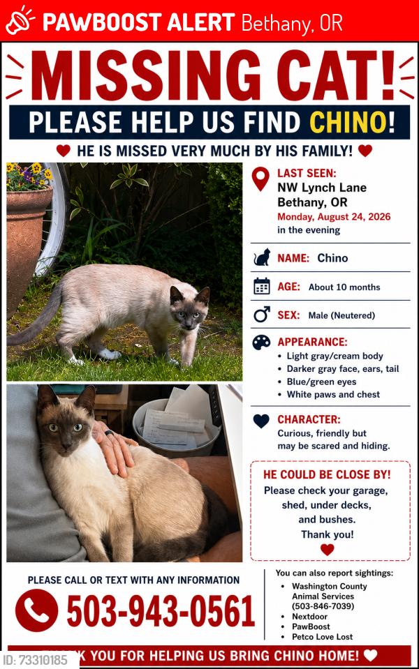 Lost Male Cat last seen NW 176th avenue, Bethany, OR 97229