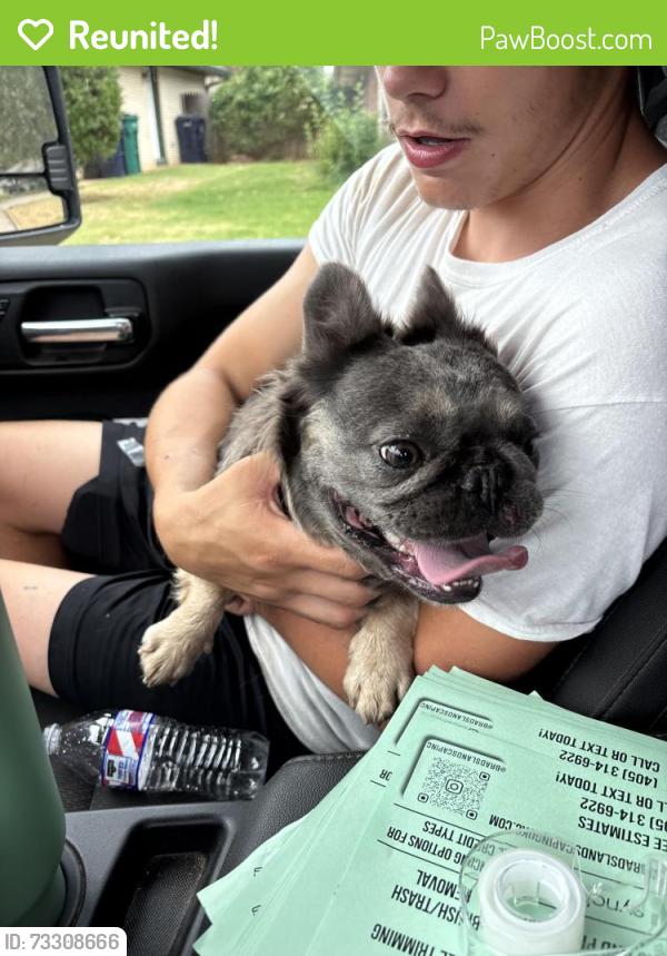 Reunited Female Dog last seen 122nd and north may, Oklahoma City, OK 73120
