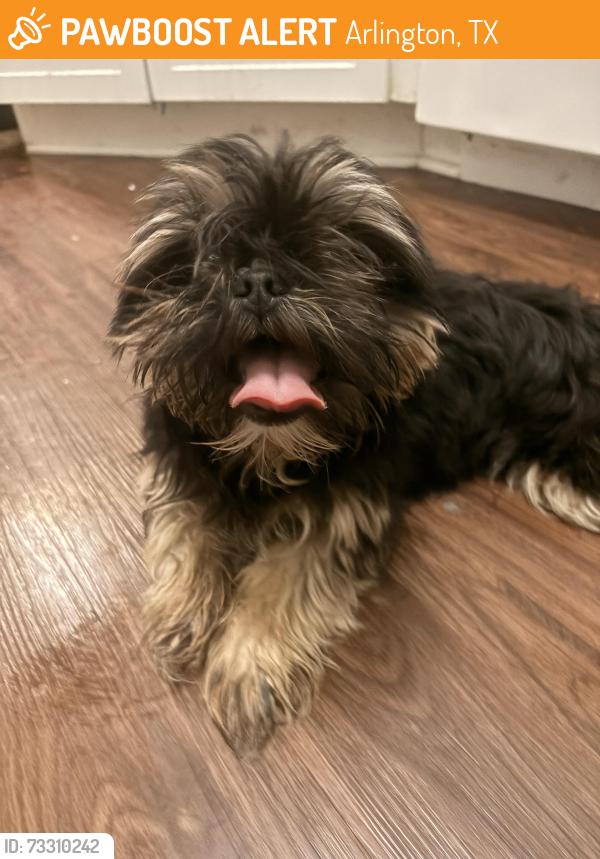 Found/Stray Unknown Dog last seen Eden park, Arlington, TX 76002