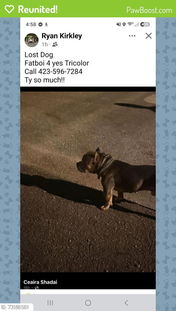 Reunited Male Dog last seen Rossville blvd, Chattanooga, TN 37407