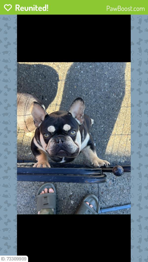 Reunited Male Dog last seen Richmond, Richmond, CA 94805