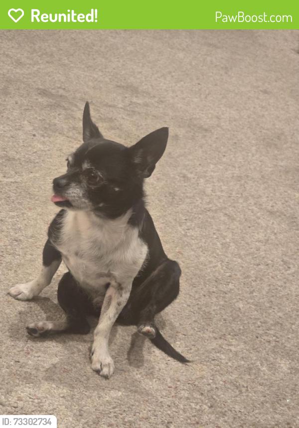 Reunited Male Dog last seen Near south 800 west, Murray, UT 84107