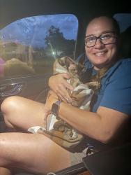 Reunited Male Cat last seen Rexford, Beverly Hills, FL 34465