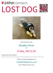 Lost Female Dog last seen Richway Ct and Braden Drive, Charlotte, NC 28216