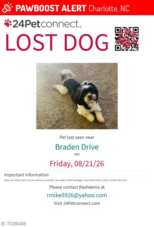 Lost Female Dog last seen Richway Ct and Braden Drive, Charlotte, NC 28216